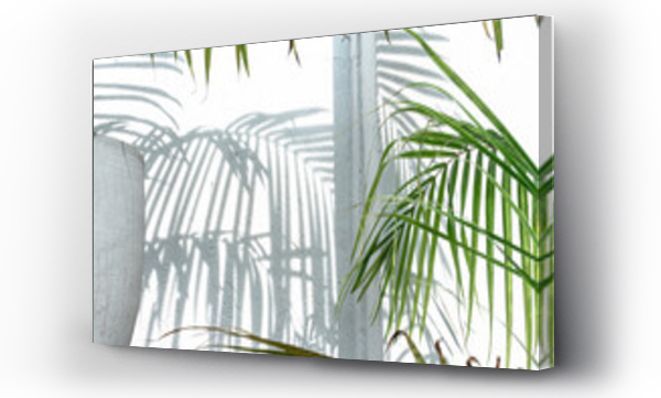 Wizualizacja Obrazu : #397394709 Zielone li?cie palmy na jasnym tle, ?adne tropikalne t?o.