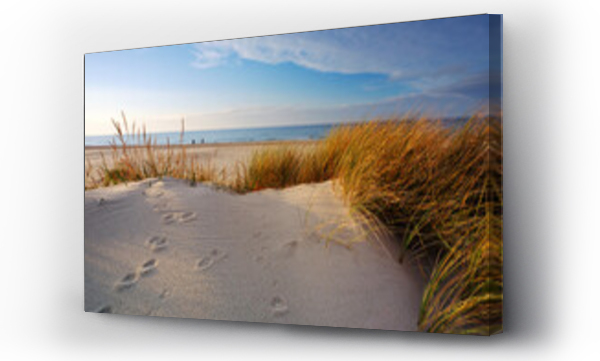 plaża, trawa piasek