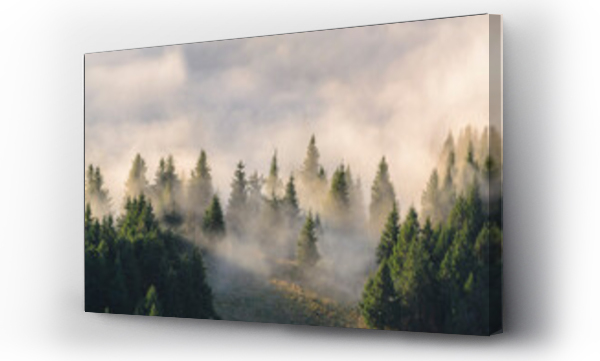 Wizualizacja Obrazu : #400269691 Ukraine, Zakarpattia region, Rakhiv district, Carpathians, Chornohora, Fog over forest on mountain Petros