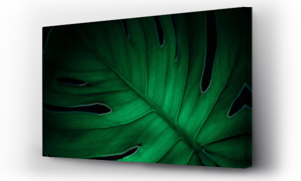 Wizualizacja Obrazu : #402913049 monstera, Monstera deliciosa, Monstera pełna dziur, zielony, liście, zielone liście, natura, struktura, abstrakcja, natura, eko, rośliny, zielone rośliny, makro, tekstura, tekstura,