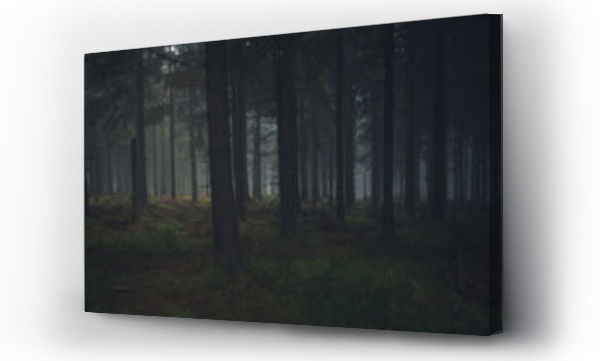 Wizualizacja Obrazu : #403583229 niebezpieczny, ciemny las