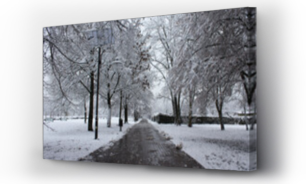 Wizualizacja Obrazu : #403644826 Polska zima ?nieg w parku krajobraz pejza? 