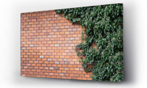 Liście, murze, zielone cegły