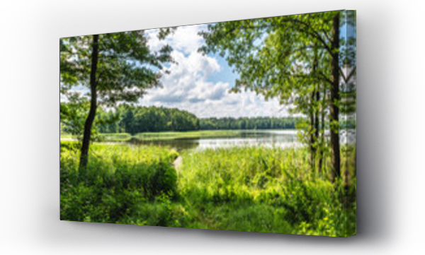 drzewa kwiaty, jeziora warmia, jezioro, Kwiaty, lasy, Pomost, przyroda, łąka, Łąka kwiaty