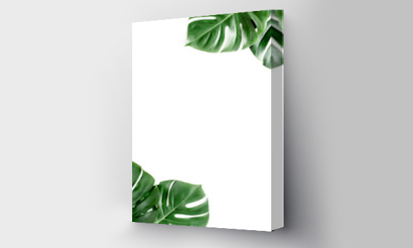 Wizualizacja Obrazu : #405827661 Tropical palm leaves Monstera on white background. Flat lay, top view.