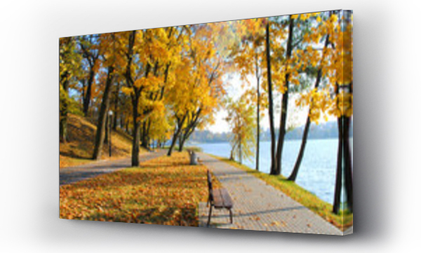 drzewo, park ławeczka, ławka