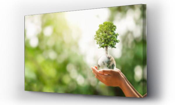 Wizualizacja Obrazu : #408000605 hand holding glass globe ball with tree growing and green nature blur background. eco concept