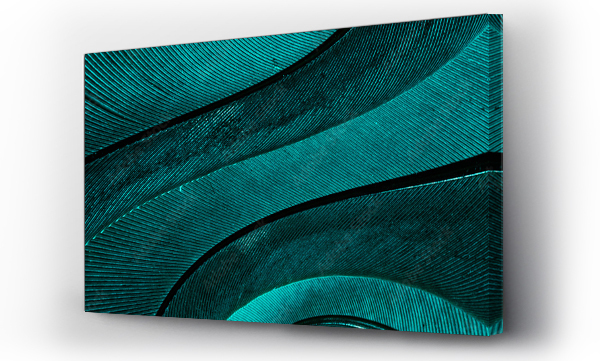 formula 1, makro, natura, Pióra, pióro