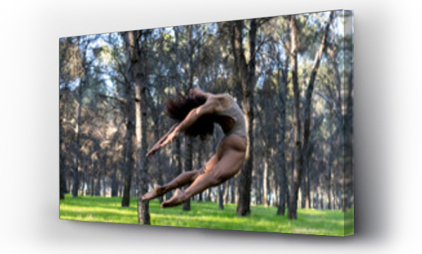 Wizualizacja Obrazu : #410267697 Female dancer jumping during performance in middle of forest