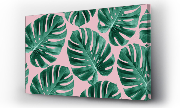 monstera