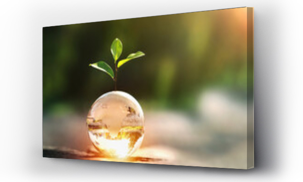 Wizualizacja Obrazu : #412214984 glass globe ball with tree growing and green nature blur background. eco earth day concept
