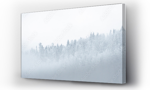 drzewa, góry, zima, zima śnieg