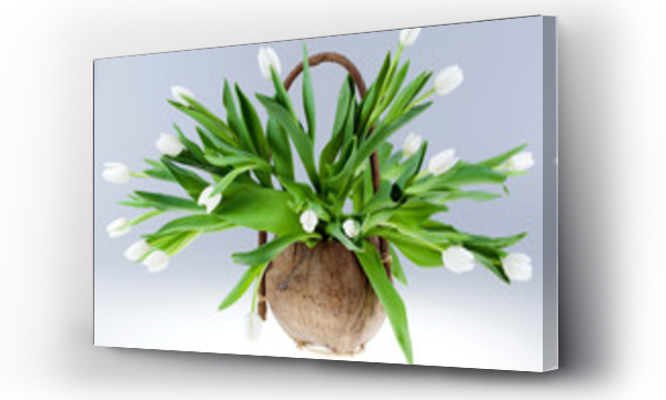 Wizualizacja Obrazu : #41363042 Wariacja tulipanowa