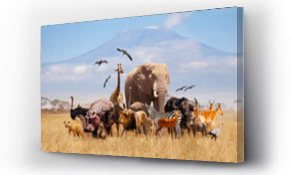 Grupa wielu afrykańskich zwierząt żyrafa, lew, słoń, małpa i inne stoją razem na tle góry Kilimandżaro