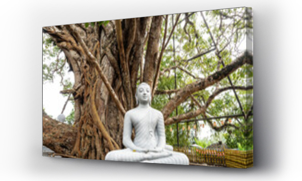 drzewo, posąg buddy