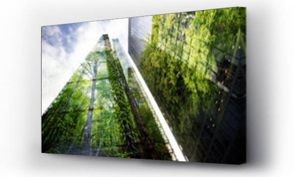 natura, okno na las, zieleń