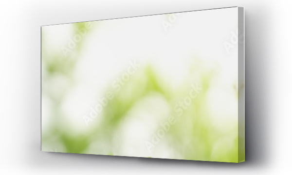 Wizualizacja Obrazu : #417984221 Closeup of green nature leaf on blurred greenery background in garden with bokeh and copy space using as background cover page concept.