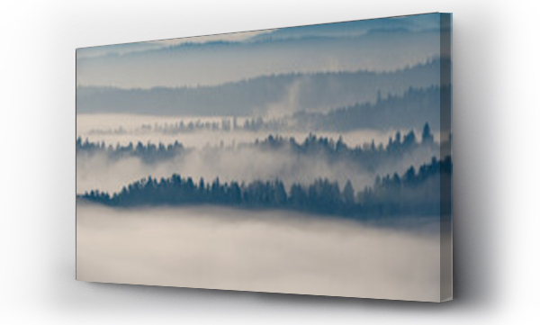Wizualizacja Obrazu : #421079369 Las w mgle