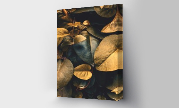 Wizualizacja Obrazu : #421347189 Close-up Of Dried Leaves
