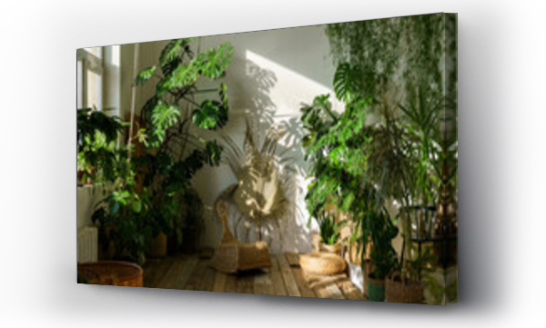 Wizualizacja Obrazu : #422674881 Urban jungle, love for plants concept. Interior of cozy home garden with fresh green monstera houseplant, wicker chair, wooden floor. Sunlight and shadows.