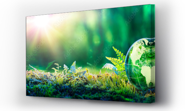 Koncepcja środowiska - Globe Glass w zielonym lesie z światłem słonecznym