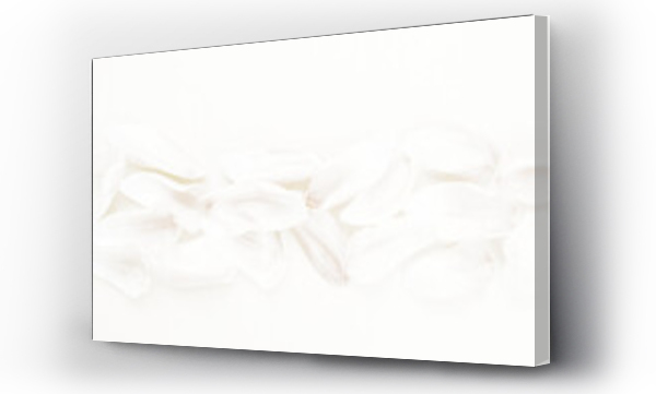 Beżowe, białe kwiaty, Białe tulipany, Kwiaty, Kwiaty białe, Kwiaty wiosenne białe, tło, tło wiosna, wiosna kwiatów