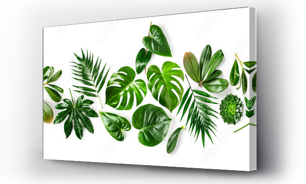 Jungle zielone liście kreatywna kompozycja.