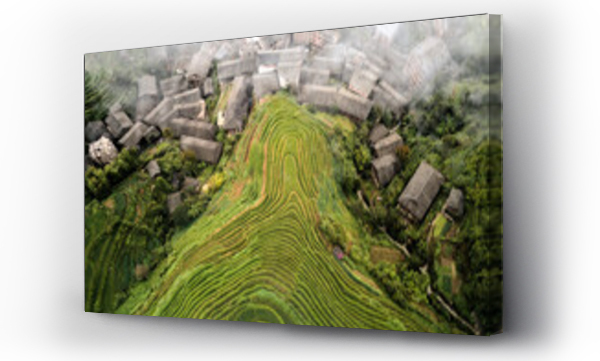Wizualizacja Obrazu : #426075380 Aerial view on Longsheng rice terraces, also knows as dragons backbone due to their shape, Guangxi, China