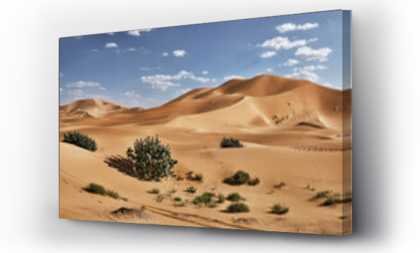 Wizualizacja Obrazu : #426076488 Sand dunes and bushes in the Sahara Desert, Merzouga, Morocco, North Africa