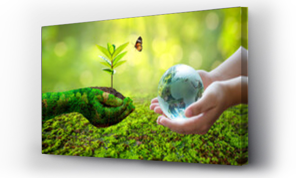 natura, planeta ziemia