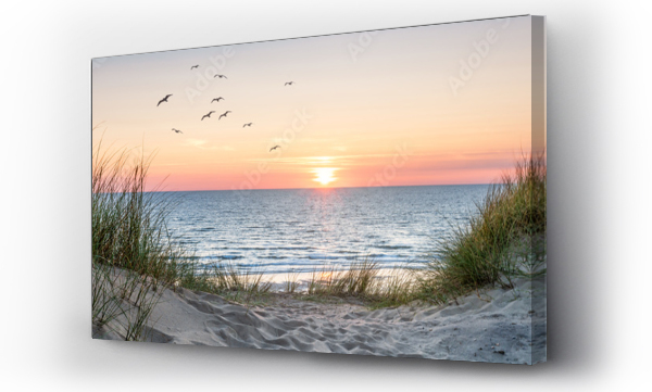 Wizualizacja Obrazu : #429787563 Dune beach panorama at sunset
