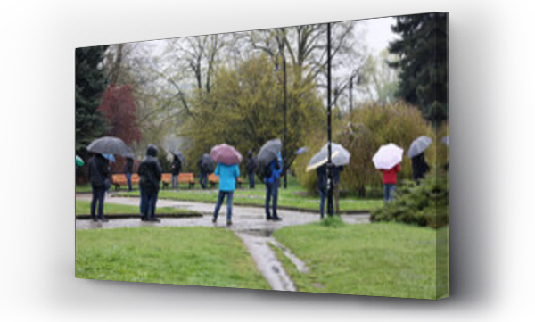 Wizualizacja Obrazu : #431487467 Ludzie pod parasolami czekaj? w kolejce do mobilnego punktu szczepie? we Wroc?awiu. 