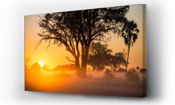 Wizualizacja Obrazu : #431635757 Wschód słońca w Afryce, Botswana