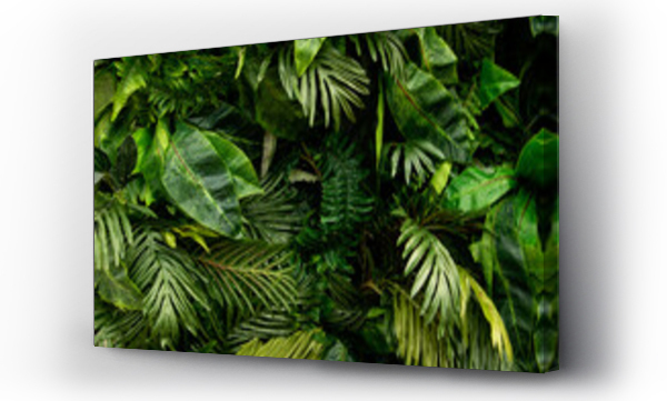 Wizualizacja Obrazu : #431976514 Background from green tropical leafs.Different foliage plants on dark bcakdrop.Good as advert banner with copy space.