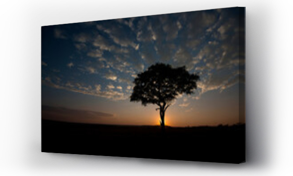Wizualizacja Obrazu : #432014351 Słońce wschodzi za drzewem akacji w Masai Mara, Kenia.