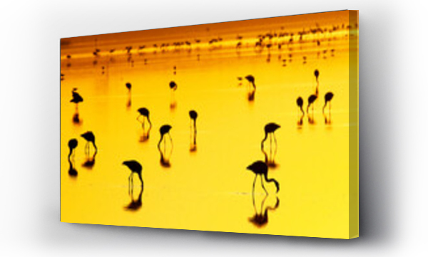 Wizualizacja Obrazu : #432018237 Flamingi żerujące przy zachodzie słońca w Lake Nakuru, Kenia.