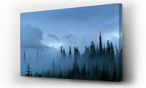 Wizualizacja Obrazu : #432029740 Las na północnym zachodzie Pacyfiku tuż po burzy we mgle