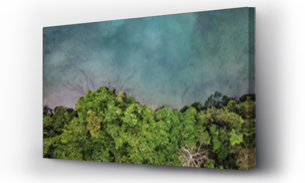 Wizualizacja Obrazu : #433287304 Gabon, Aerial view of forested shore of Lac Bleu lake