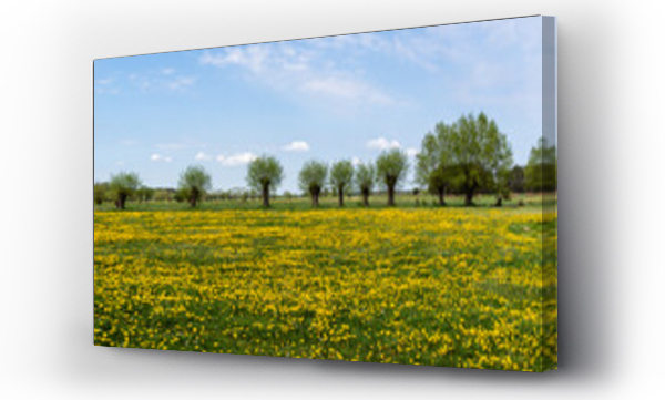 Wizualizacja Obrazu : #434782542 Krajobraz wiejski Podlasia, Polska