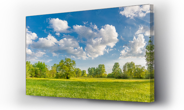 Krajobrazy, natura, Panorama