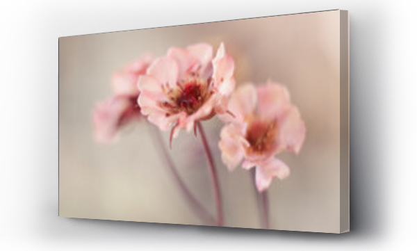 Wizualizacja Obrazu : #436347512 Wiosenne kwiaty -Kuklik