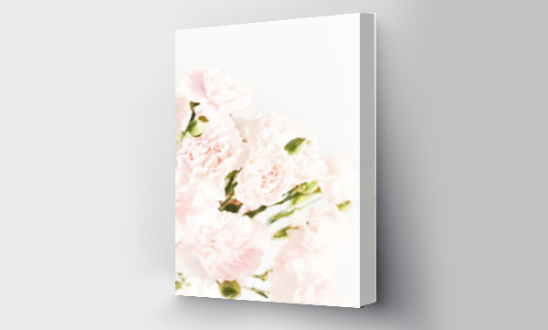 białe kwiaty, Kwiaty, kwiaty ślubne, ślubne