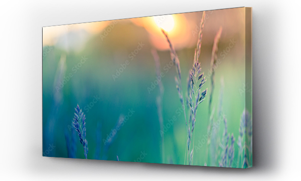 Krajobrazy, Laka, natura