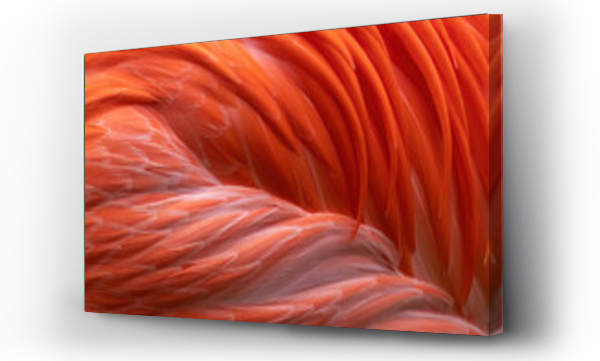 Wizualizacja Obrazu : #437046966 Vibrant pink flamingo feathers close up