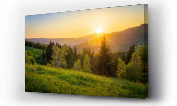 beskidy, drzewo, góry, relaks, Szczyrk, Ustroń, wisła