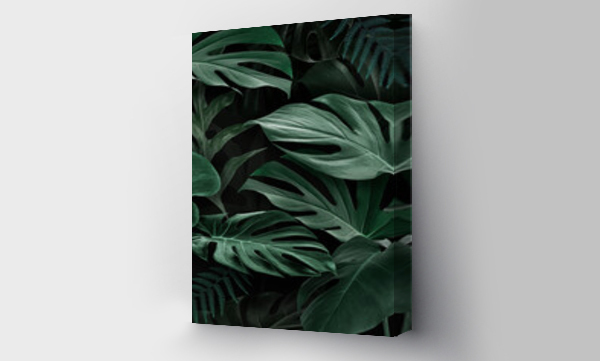 monstera