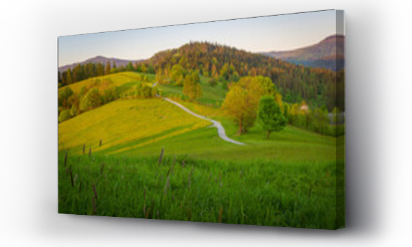 drzewo, drzewo niebo, góry, skrzyczne