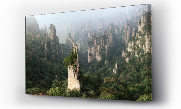 Wizualizacja Obrazu : #439479248 Zhangjiajie National Park Wulingyuan mountains forest