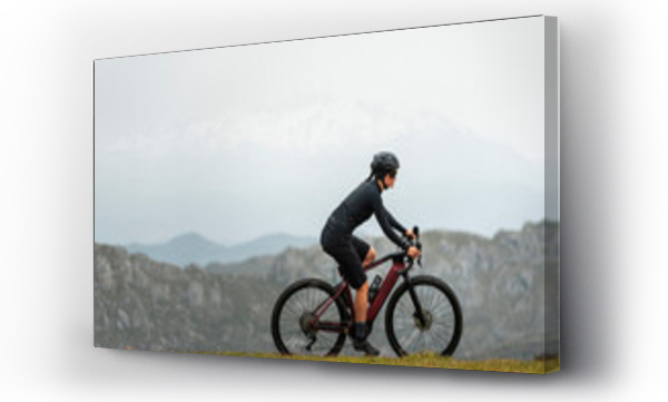 Wizualizacja Obrazu : #439732367 Sportive bicyclist working out on e bike in mountains 