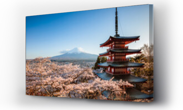 Ikoniczna pagoda Chureito w sezonie kwitnienia wiśni z górą Fudżi. Fuji, Pięć Jezior Fuji, Japonia
